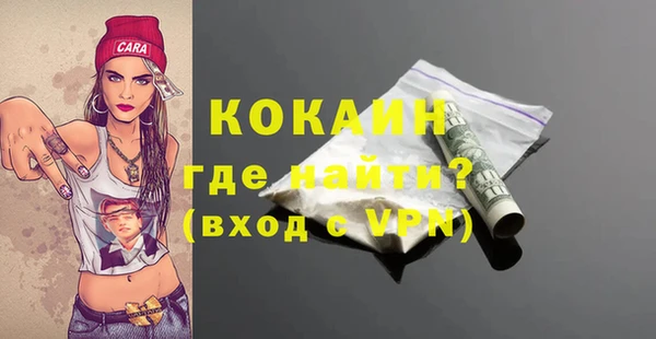 гашиш Богданович