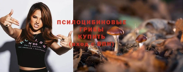 метамфетамин Белокуриха