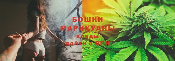 apvp Богородск