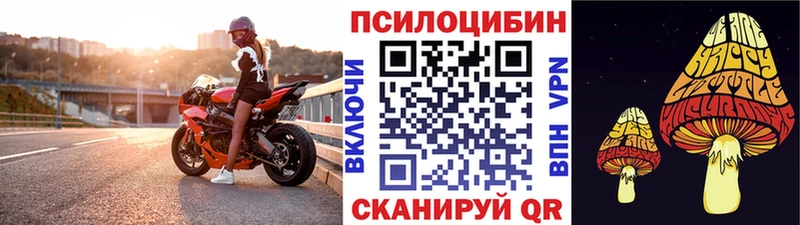 Купить где  Выборг  Галлюциногенные грибы мухоморы 