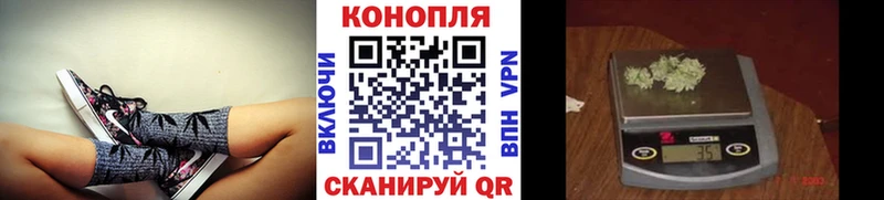 Купить  Выборг  Бошки марихуана LSD WEED 